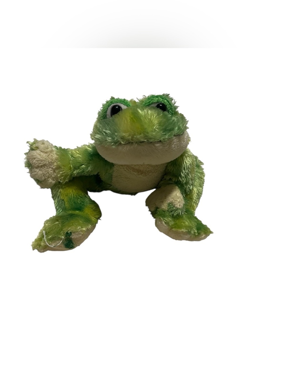 Webkinz Green Tie Dye Frog Plush Ganz Beans